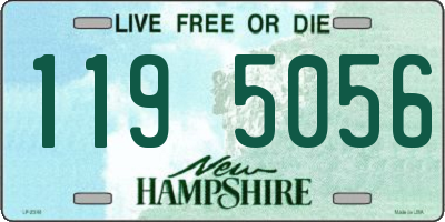 NH license plate 1195056