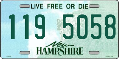 NH license plate 1195058