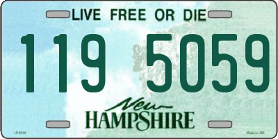 NH license plate 1195059