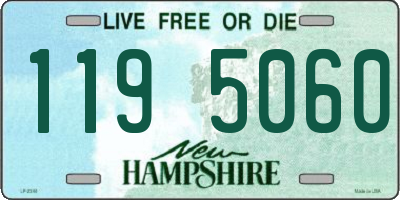 NH license plate 1195060