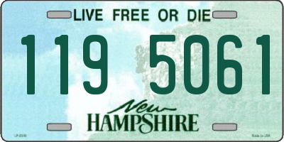 NH license plate 1195061