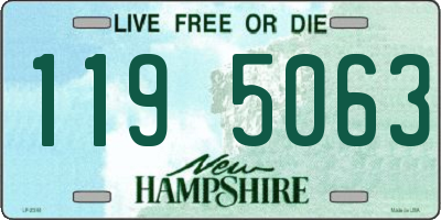 NH license plate 1195063