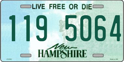 NH license plate 1195064