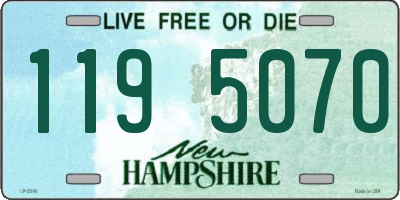 NH license plate 1195070