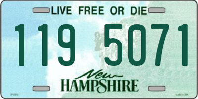 NH license plate 1195071