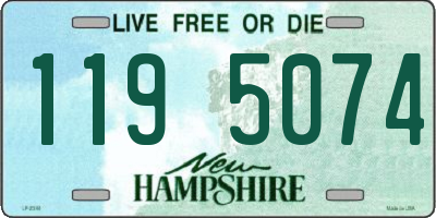 NH license plate 1195074