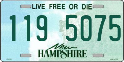 NH license plate 1195075