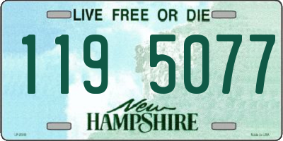 NH license plate 1195077
