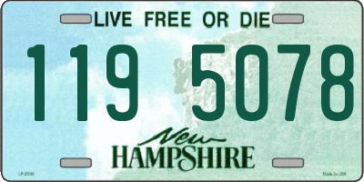 NH license plate 1195078
