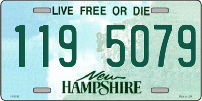 NH license plate 1195079