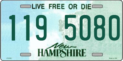 NH license plate 1195080