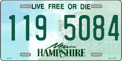 NH license plate 1195084