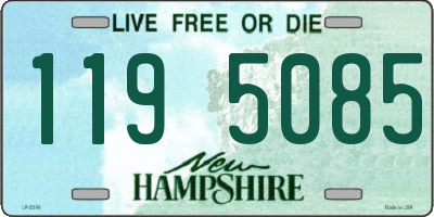 NH license plate 1195085
