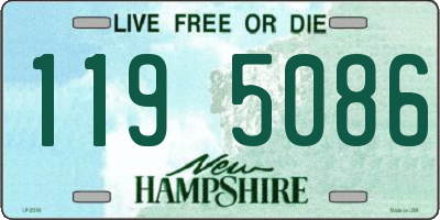 NH license plate 1195086