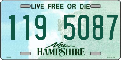 NH license plate 1195087