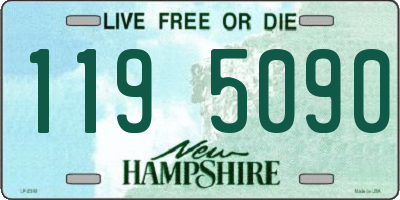 NH license plate 1195090