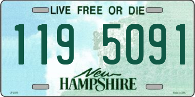 NH license plate 1195091