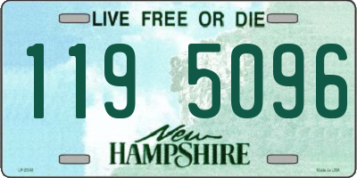 NH license plate 1195096