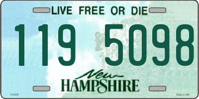 NH license plate 1195098