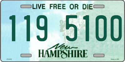 NH license plate 1195100