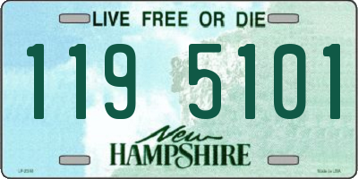 NH license plate 1195101