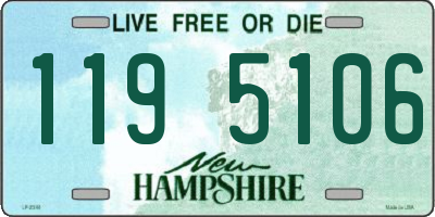 NH license plate 1195106
