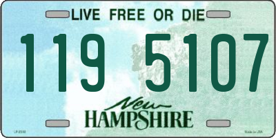 NH license plate 1195107