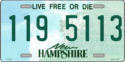 NH license plate 1195113