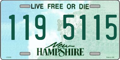 NH license plate 1195115