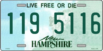 NH license plate 1195116