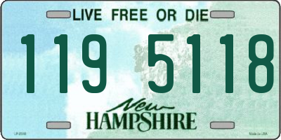 NH license plate 1195118