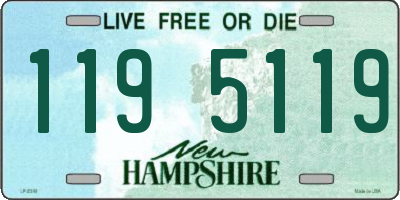 NH license plate 1195119