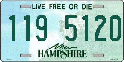 NH license plate 1195120