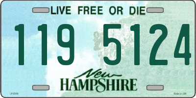 NH license plate 1195124