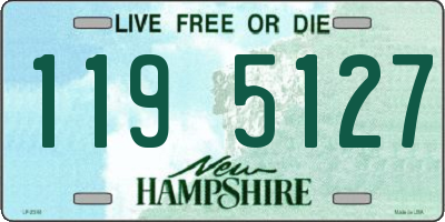NH license plate 1195127