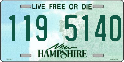 NH license plate 1195140