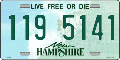 NH license plate 1195141