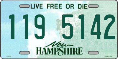 NH license plate 1195142
