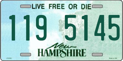 NH license plate 1195145