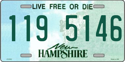 NH license plate 1195146