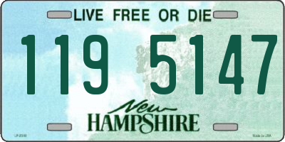 NH license plate 1195147