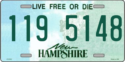 NH license plate 1195148