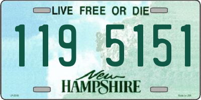 NH license plate 1195151