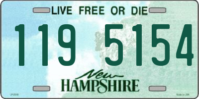 NH license plate 1195154