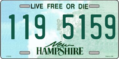 NH license plate 1195159