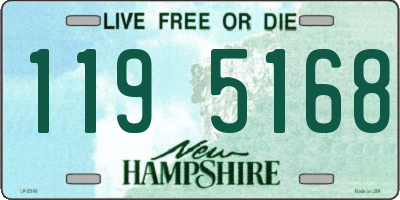 NH license plate 1195168