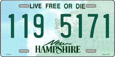 NH license plate 1195171