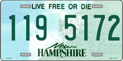 NH license plate 1195172