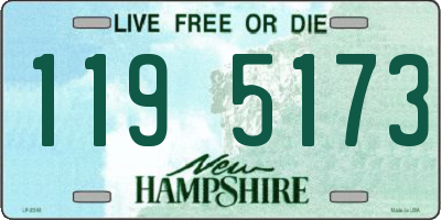 NH license plate 1195173