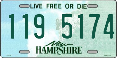 NH license plate 1195174
